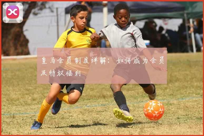 皇马会员制度详解：如何成为会员及特权福利