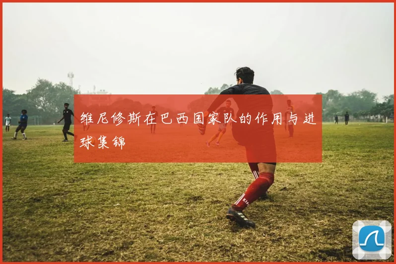 维尼修斯在巴西国家队的作用与进球集锦